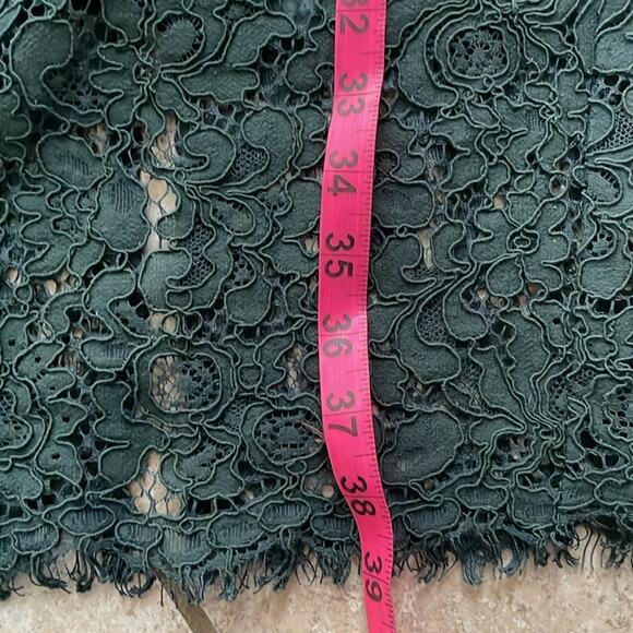 Bardot Lace Panel Sheath Dress Forest Green - Picture 15 of 16